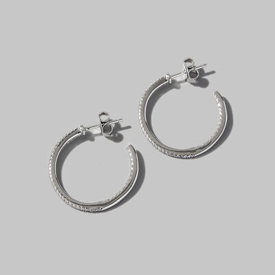 Zircon 925 Sterling Silver C-Hoop Earrings